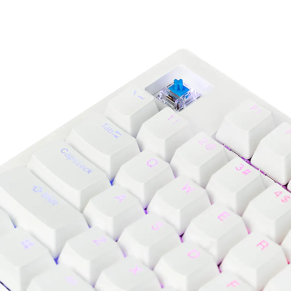 Aftershock Oden V2 TKL | 87 Key Wired Mechanical Keyboard (White)