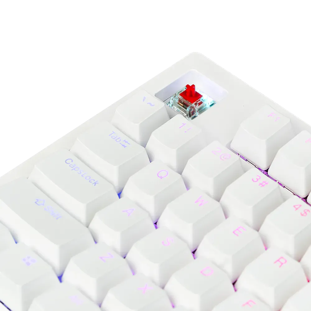 Aftershock Oden V2 TKL | 87 Key Wired Mechanical Keyboard (White)