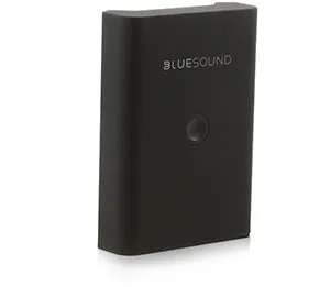 Bluesound Pulse Flex BP100 Battery Pack