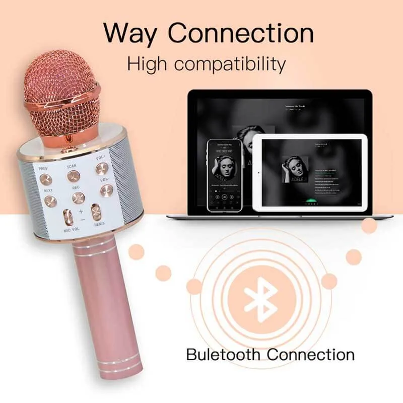 Bluetooth Microphone for Kids Singing