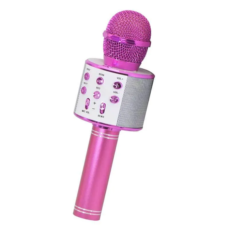 Bluetooth Microphone for Kids Singing