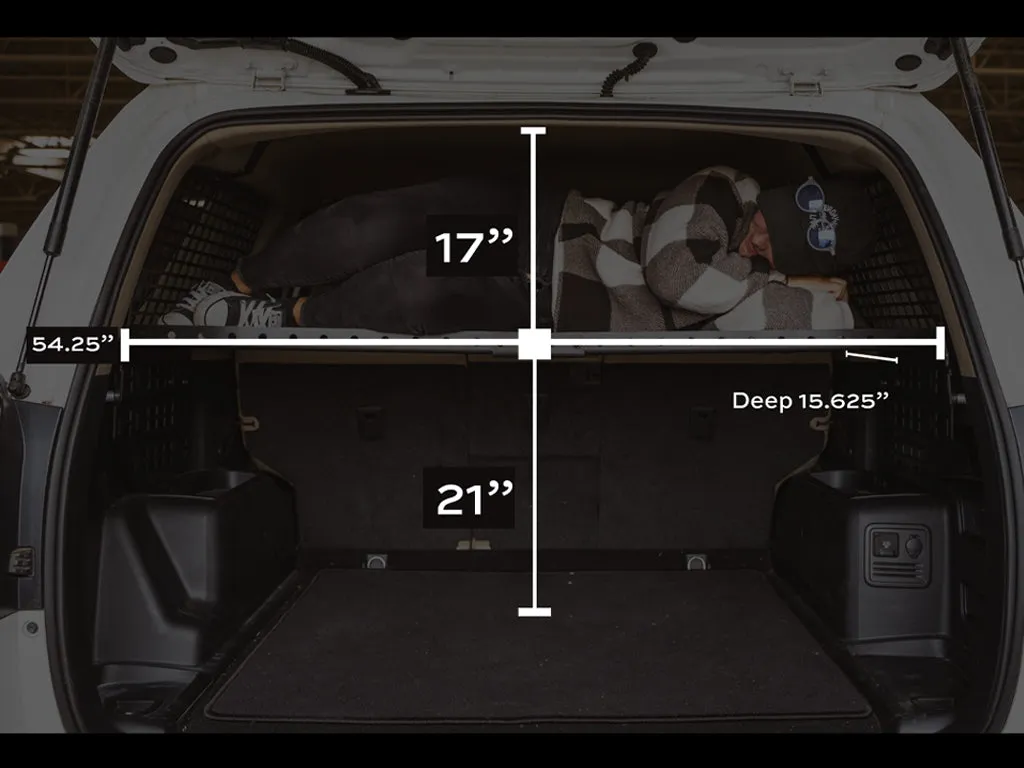 CALI RAISED LED 2010-2024 4Runner Interior Rear MOLLE Panel