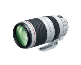 Canon EF 100-400mm f/4.5-5.6L IS II USM, Ø77