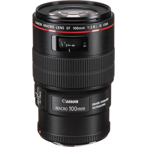 Canon EF 100mm f/2.8L Macro IS USM Lens Bundle with Cleaning Kit, Filter Kits, and Padded Lens Case (Intl Model)