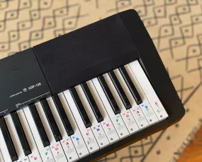 CASIO CDP-135 88-Key Digital Piano