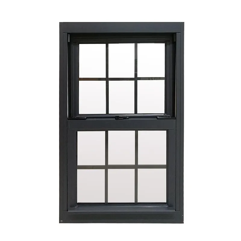 DOORWIN 2021Factory Directly Supply double hung sash windows aluminium window parts