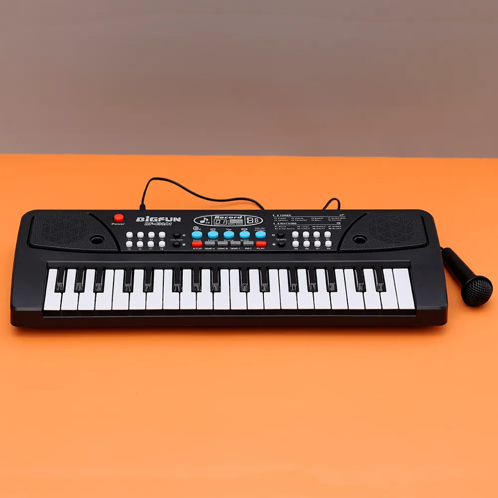 Electronic Keyboard With Microphone  (Big Fun BF-430A1)