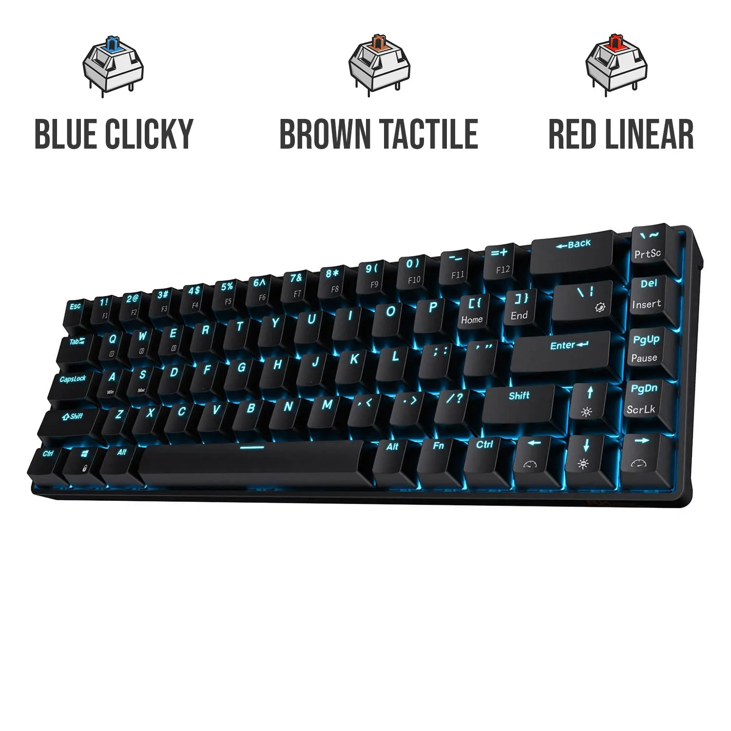 Royal Kludge RK RKG68 68 Keys Mechanical Gaming Keyboard 2.4G Wireless Hot Swappable TKL with Bluetooth 5.0 (White, Black) (Blue Clicky, Red Linear, Brown Tactile Switch)