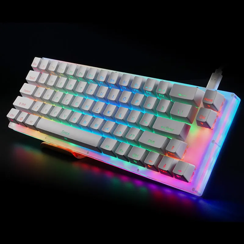 Womier 66 key hot swappable full RGB Custom Mechanical Keyboard